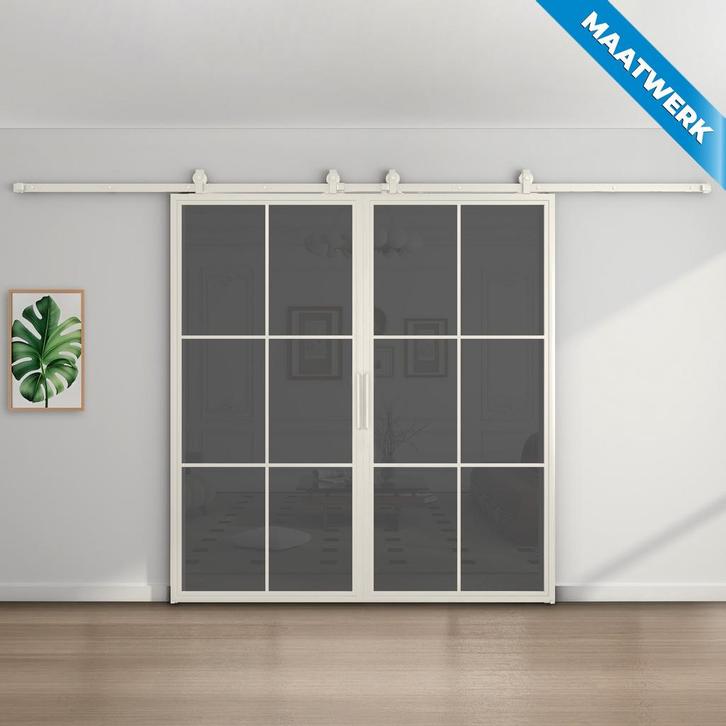 Dubbele stalen Schuifdeuren 6 Vlaks Wit Maatwerk Rook glas, Doe-het-zelf en Bouw, Raamkozijnen en Schuifdeuren, Nieuw, Inclusief glas