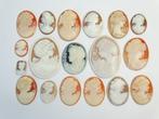 Schelp Cameo - Verzameling 18x (Zonder minimumprijs)