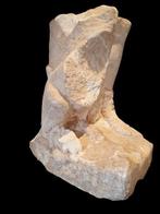 Oud-Romeins Marmer Warriors voet en een hond - (39×24×39