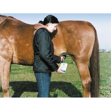 Testeur de gestation cheval - kerbl