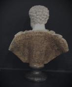 Sculpture, Busto di Antonino Pio - 86 cm - Marbre