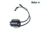 Bobine Aprilia SL 1000 Falco 1999-2003 (SL1000), Motoren, Gebruikt