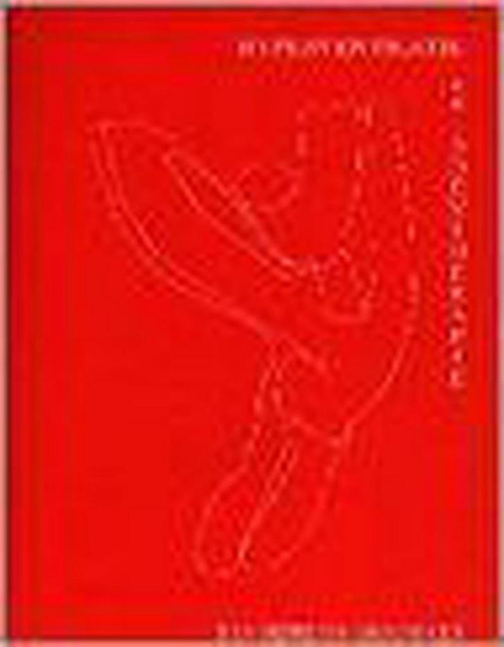 Hyperventilatie en ademtherapie 9789050640169 Groeningen, Boeken, Gezondheid, Dieet en Voeding, Gelezen, Verzenden