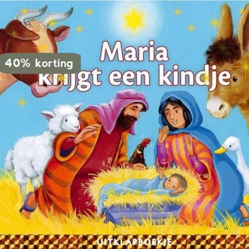 MARIA KRIJGT EEN KINDJE 9789086011322 Michael Berghof, Boeken, Overige Boeken, Gelezen, Verzenden