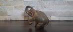 Pierre Chenet (XX-XXI) - Sculpture, LElephant sasseyant -, Antiek en Kunst