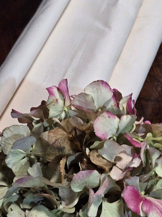 Textiel - 570 cm - 150 cm - Oude stoffen, Antiek en Kunst, Antiek | Tapijten, Tafelkleden en Textiel