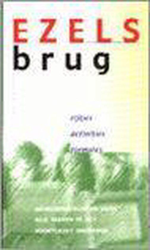 Ezelsbrug 9789066110175 Thilde Luyt, Boeken, Literatuur, Gelezen, Verzenden