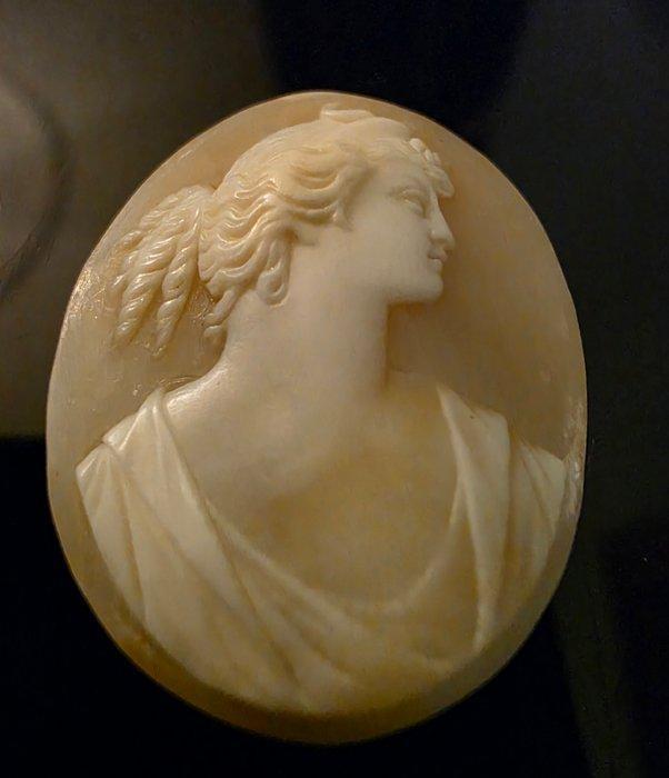 schelp Cameo - Replica na een antiek (Zonder minimumprijs), Antiek en Kunst, Antiek | Overige Antiek