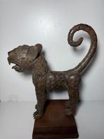 Prachtige grote luipaard - Yoruba - Nigeria (Zonder