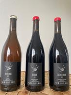 2022 Arnaud Lopez Savigny, Pinot Blanc & Lazaro -, Verzamelen, Wijnen, Nieuw
