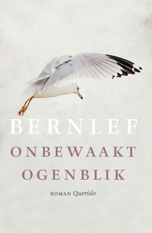 Onbewaakt ogenblik 9789021447117 Bernlef, Boeken, Romans, Zo goed als nieuw, Verzenden