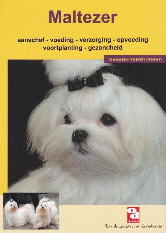 De Maltezer / Over Dieren / 159 9789058211675 Over Dieren, Livres, Loisirs & Temps libre, Envoi