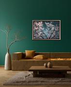 Viet Ha Tran - Sakura Season II