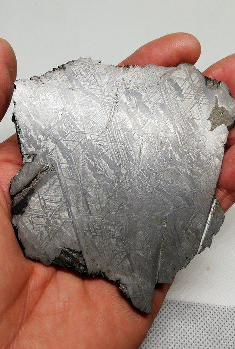 Meteoriet van Saint Aubin, Ligne de Widmanstaeten. Mooie, Verzamelen, Mineralen en Fossielen