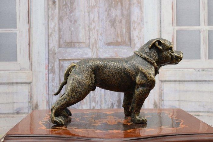Pitbull Dog - Beeldje - Gietijzer, Antiek en Kunst, Curiosa en Brocante