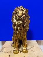 D - Uli -  Lion Gold