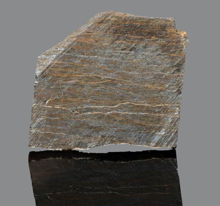Hoba meteorite Plak - 2.88 g - (1), Verzamelen, Mineralen en Fossielen