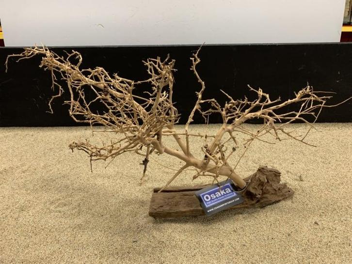 Osaka Bonsai Tree nr 1 - 59x20x34cm - aquascaping boom, Dieren en Toebehoren, Vissen | Aquaria en Toebehoren, Plant(en), Steen of Hout