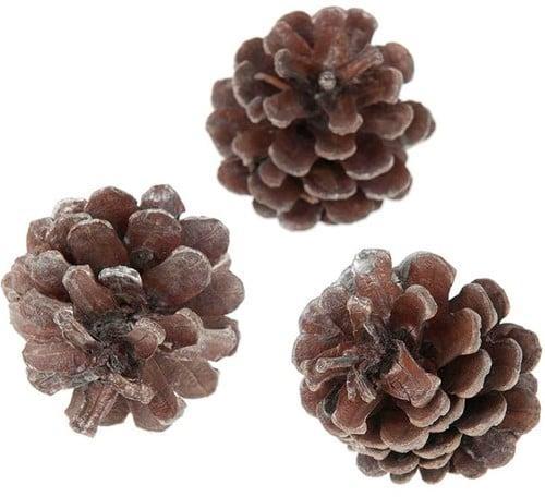 Oostenrijker dennenappel pinus nigra antique zilverwash 6, Hobby en Vrije tijd, Knutselen, Nieuw