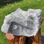 celestine Kristallen op matrix - Hoogte: 11 cm - Breedte: 13