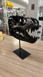 T-Rex Schedel op een standaard - T-Rex - 31 cm - 24 cm - 10