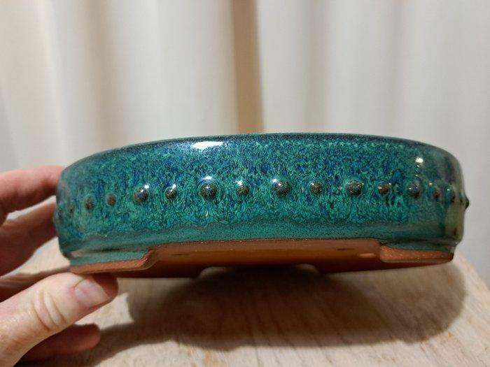 Bonsai schaal - 19x15x4,5cm - groen geglazuurd - Hoogte, Antiek en Kunst, Curiosa en Brocante
