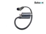 Bobine Aprilia ETV 1000 Caponord 2001-2003 (ETV1000), Verzenden, Gebruikt