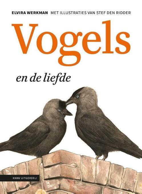 Vogels en de liefde 9789050116077 Elvira Werkman, Boeken, Hobby en Vrije tijd, Gelezen, Verzenden