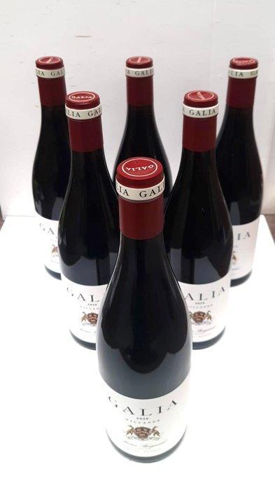 2020 Bodegas El Regajal, Galia - Villages Jérôme Bougnaud -, Verzamelen, Wijnen
