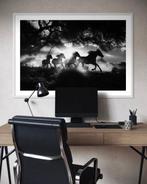 Rudy barret - Phantom Hooves - XL