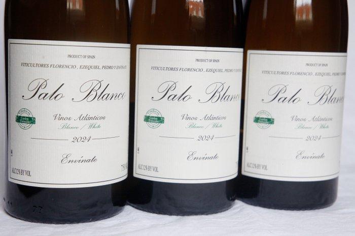 2024 Envinate, Palo Blanco - Tenerife, Canarische Eilanden -, Verzamelen, Wijnen