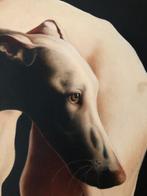 Barbara Hangan - The Pink Ghost, Antiek en Kunst