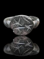 Keltisch Stunning Military Dog Seal Ring (Zonder