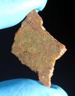 Unieke Diogeniet NWA 15627 eindstuk met grofkorrelig