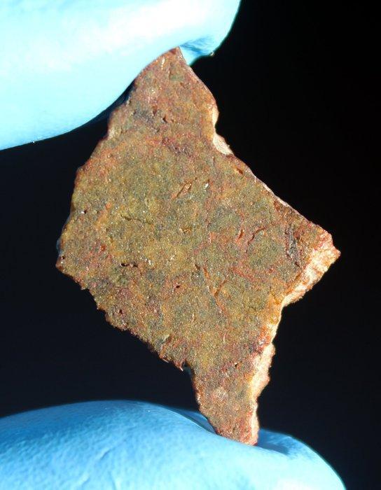 Unieke Diogeniet NWA 15627 eindstuk met grofkorrelig, Verzamelen, Mineralen en Fossielen