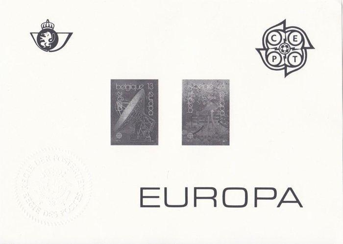 België 1987/2018 - 15 x Zwart-Wit velletjes / Feuillets en, Postzegels en Munten, Postzegels | Europa | België