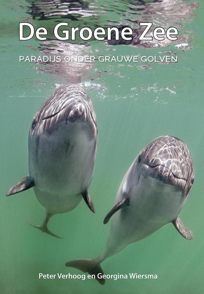 De Groene Zee 2017 9789090305134 Georgina Wiersma, Boeken, Hobby en Vrije tijd, Zo goed als nieuw, Verzenden
