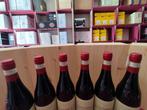 2019 Bolla - Amarone della Valpolicella - 6 Flessen (0.75, Nieuw