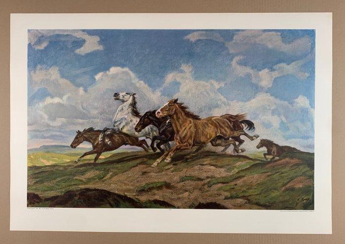 Alfred Roloff - Galoppierende Pferde - Antiquarian Collotype, Antiquités & Art, Art | Dessins & Photographie