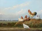 Hilaire Bals (1940) - Haantje De Voorste - NO RESERVE