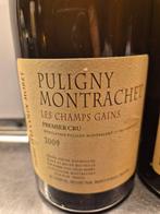 2009 Pierre-Yves Colin-Morey Les Champs Gains - Puligny