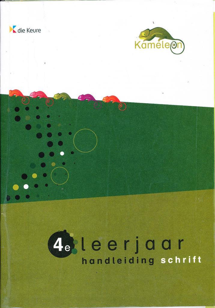 Kameleon Handleiding Schrift 4e leerjaar, Boeken, Schoolboeken, Verzenden
