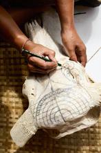 Sans prix de réserve - Vrai grand crâne de taureau brun