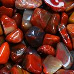 Arizona versteend hout - gepolijste stenen -