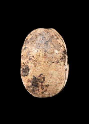 Égypte ancienne, Nouvel Empire Stéatite Scarabaeus gravé