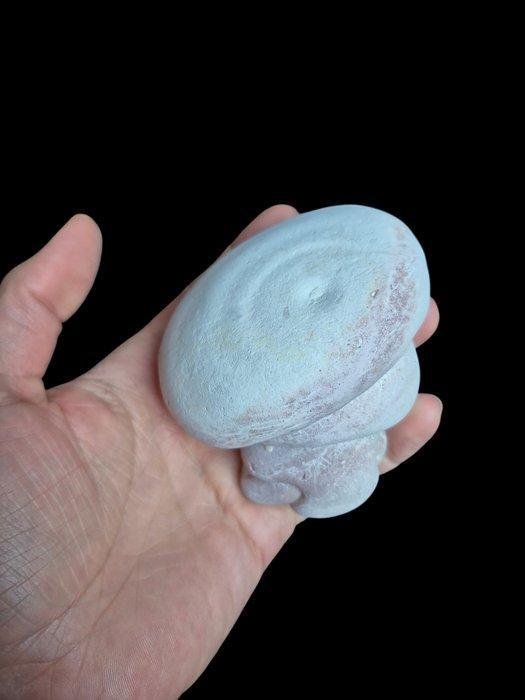 Gogotte silex Vrije vorm - Hoogte: 9.5 cm - Breedte: 8.5 cm-, Collections, Minéraux & Fossiles