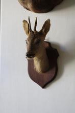 Jachttrofee, Antiek en Kunst, Curiosa en Brocante