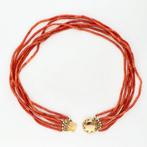 Ketting - 14 karaat Geel goud - Bloedkoraal