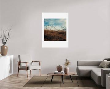 Ben Dauchez - Variation sur les dunes #2