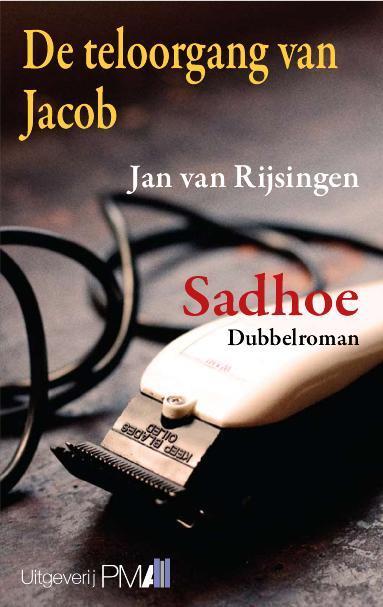 De teloorgang van Jacob 9789078840336 Jan van Rijsingen, Livres, Romans, Envoi